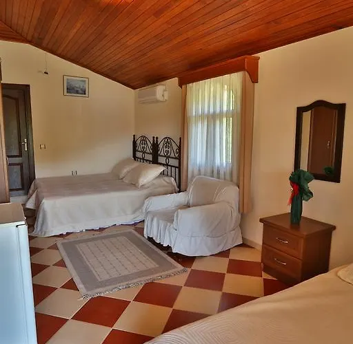 Turkeli فندق مبيت وإفطار داتْشا